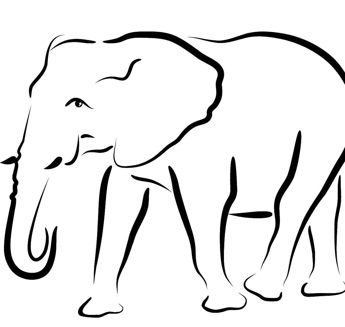 Название: Раскраска Слон. Категория: Контуры животных. Теги: слон.
