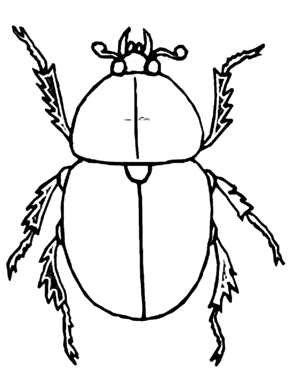 Coloring Beetle. Category Animals. Tags:  beetle.