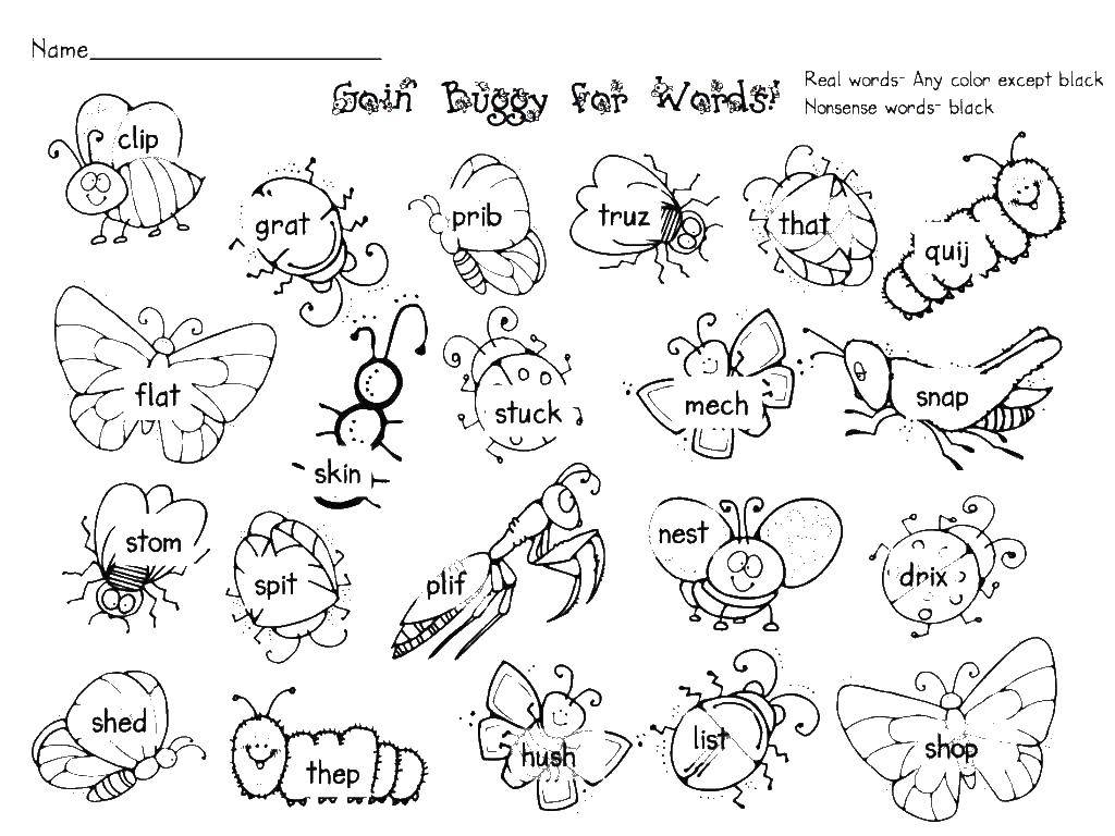 Coloring Bugs. Category Animals. Tags:  beetle.