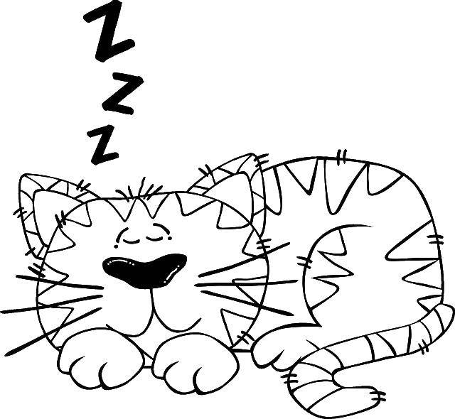 Название: Раскраска Кот спит. Категория: Контуры животных. Теги: кот.