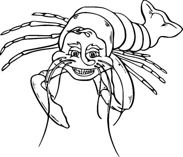 Coloring Shrimp. Category the sea. Tags:  shrimp.