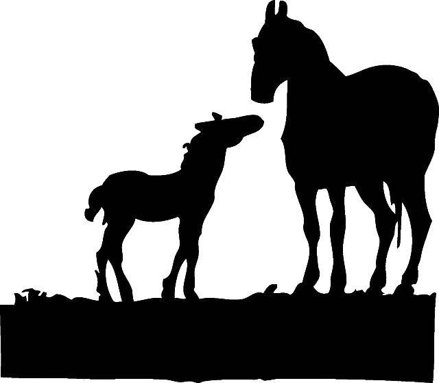 Coloring Silhouettes horse and colt. Category The contours of animals. Tags:  horse, foal.