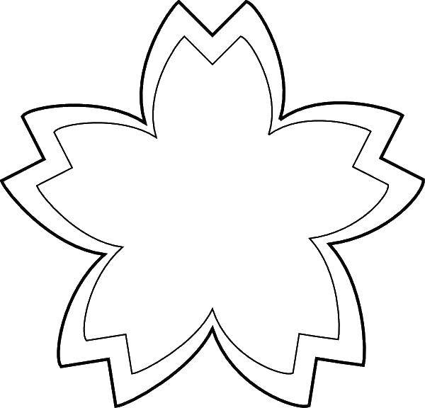 Coloring Flower. Category the contours of flowers. Tags:  flower.