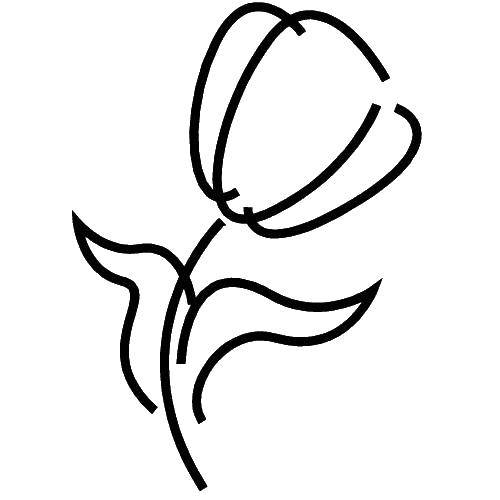 Coloring Flower. Category The contours of flowers. Tags:  flower.