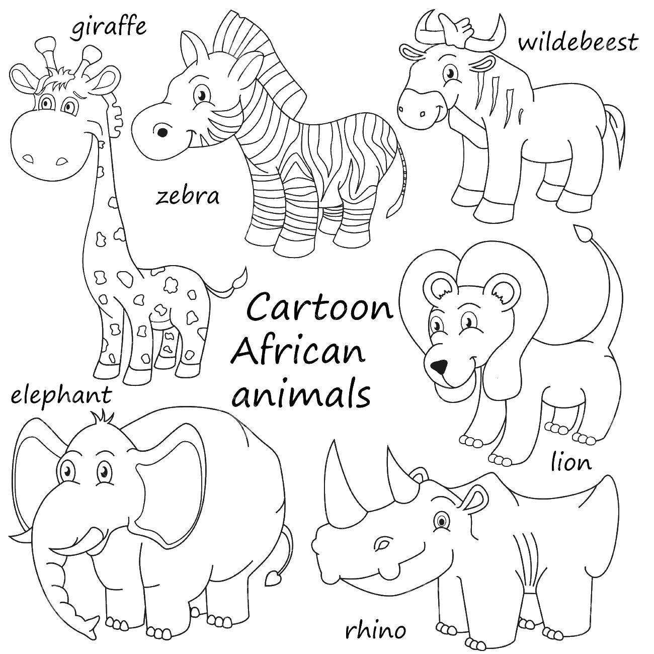 Coloring Animals in English. Category English words. Tags:  animals.