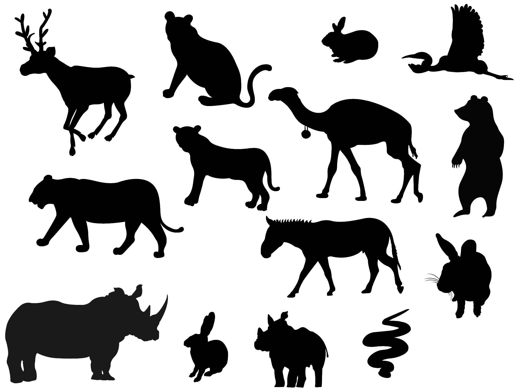 Название: Раскраска Контуры животных. Категория: Контуры животных. Теги: контуры, животные.
