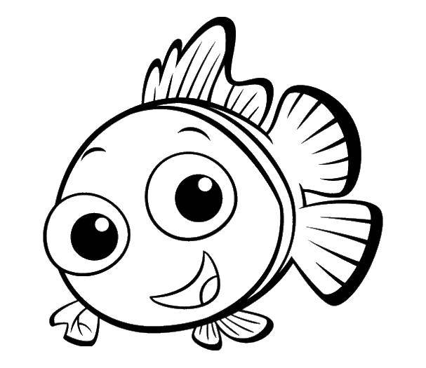 Coloring Nemo clown fish. Category cartoons. Tags:  Nemo fish, clown.