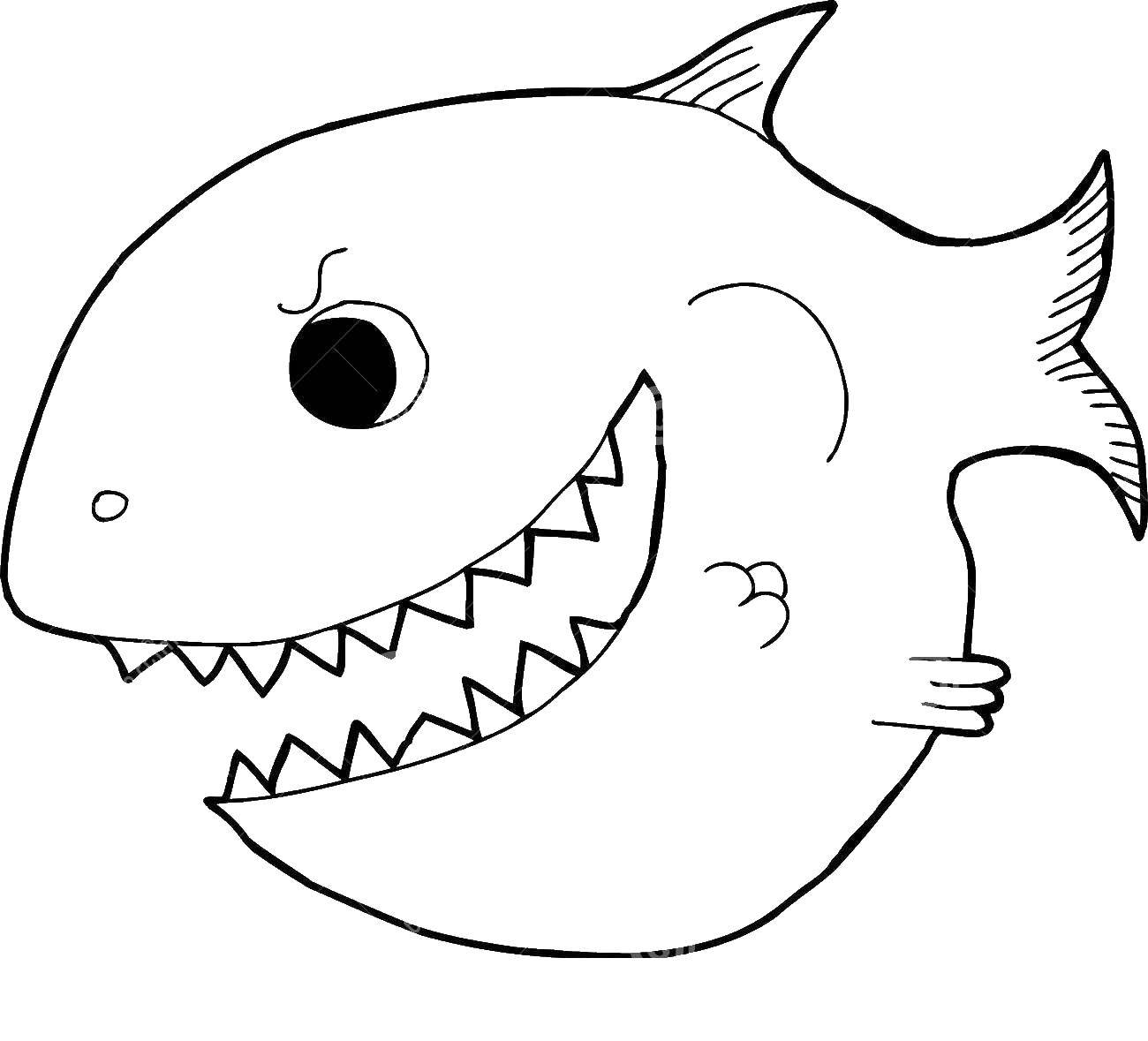 Coloring Piranha. Category Contours of fish. Tags:  piranha.