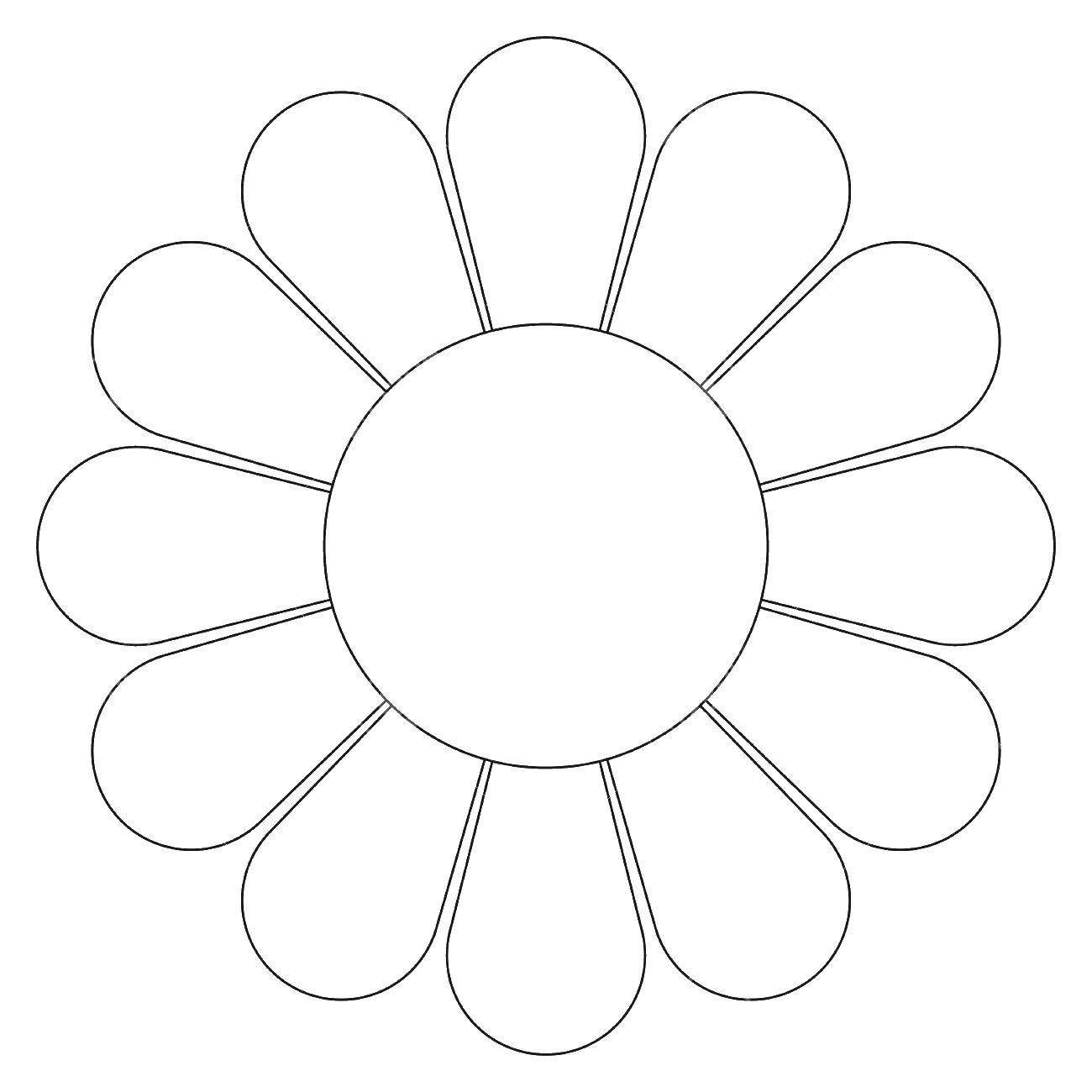 Coloring Daisy. Category The contours of flowers. Tags:  chamomile.