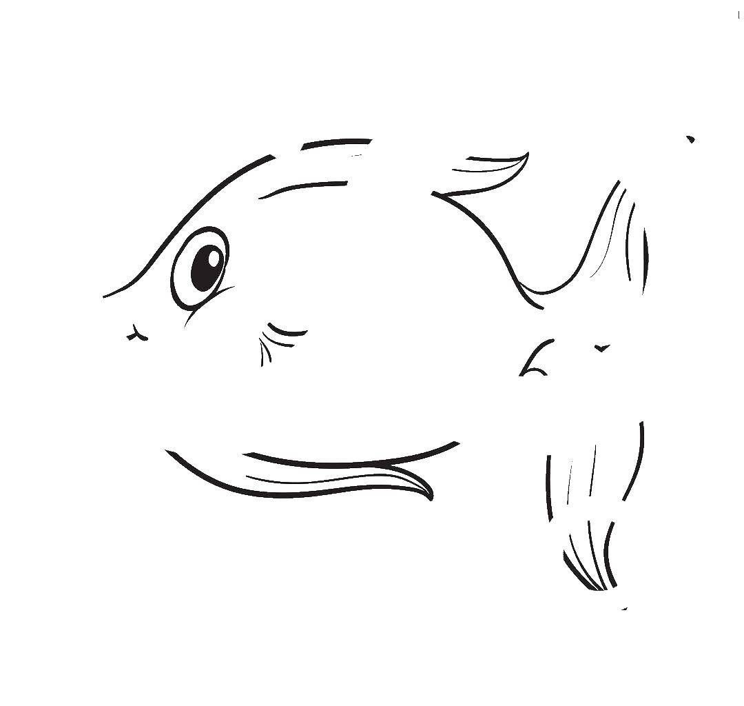 Название: Раскраска Рыба. Категория: Контуры рыб. Теги: рыба.