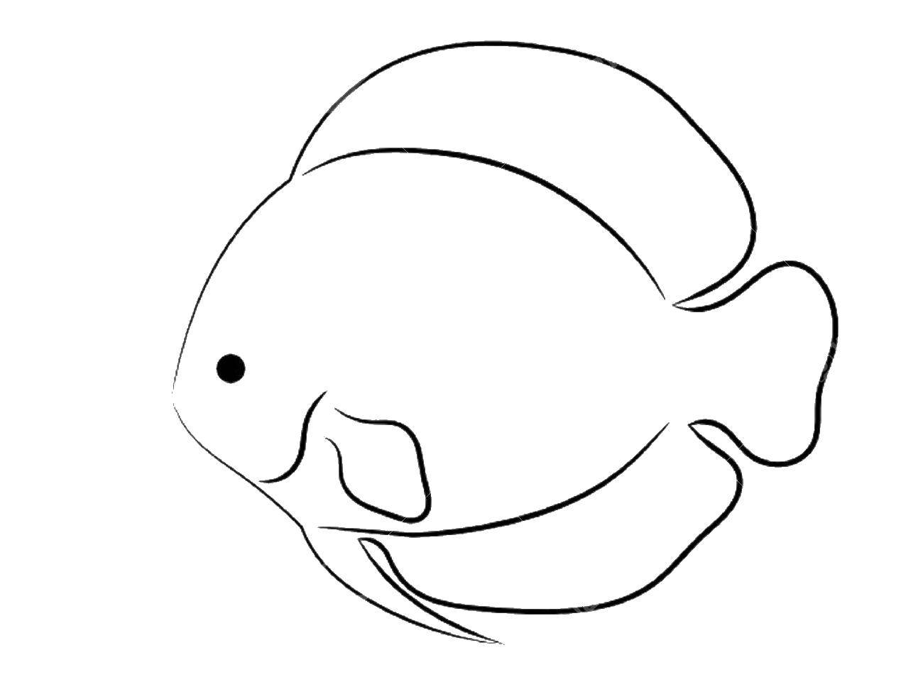 Название: Раскраска Рыбка  камбала. Категория: Контуры рыб. Теги: камбала.
