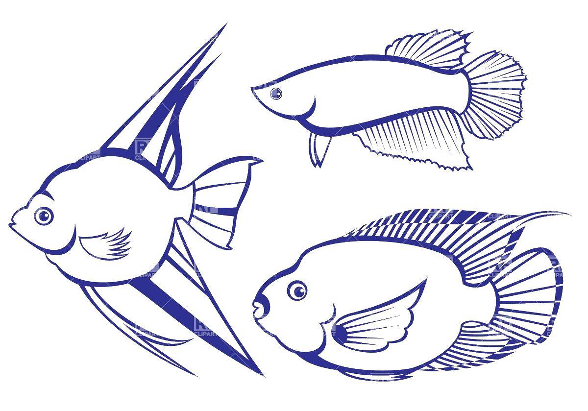 Название: Раскраска Рыбы. Категория: Контуры рыб. Теги: рыбы.