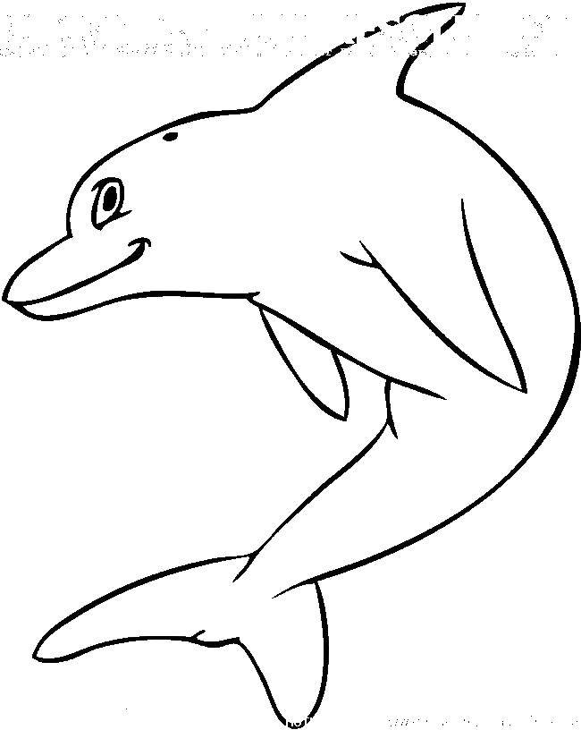 Название: Раскраска Дельфин. Категория: Контуры животных. Теги: Дельфин.
