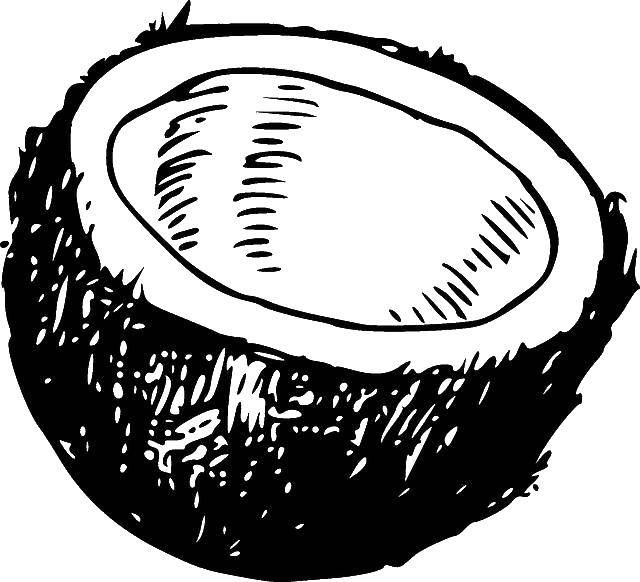Coloring Coconut. Category the food. Tags:  coconut.