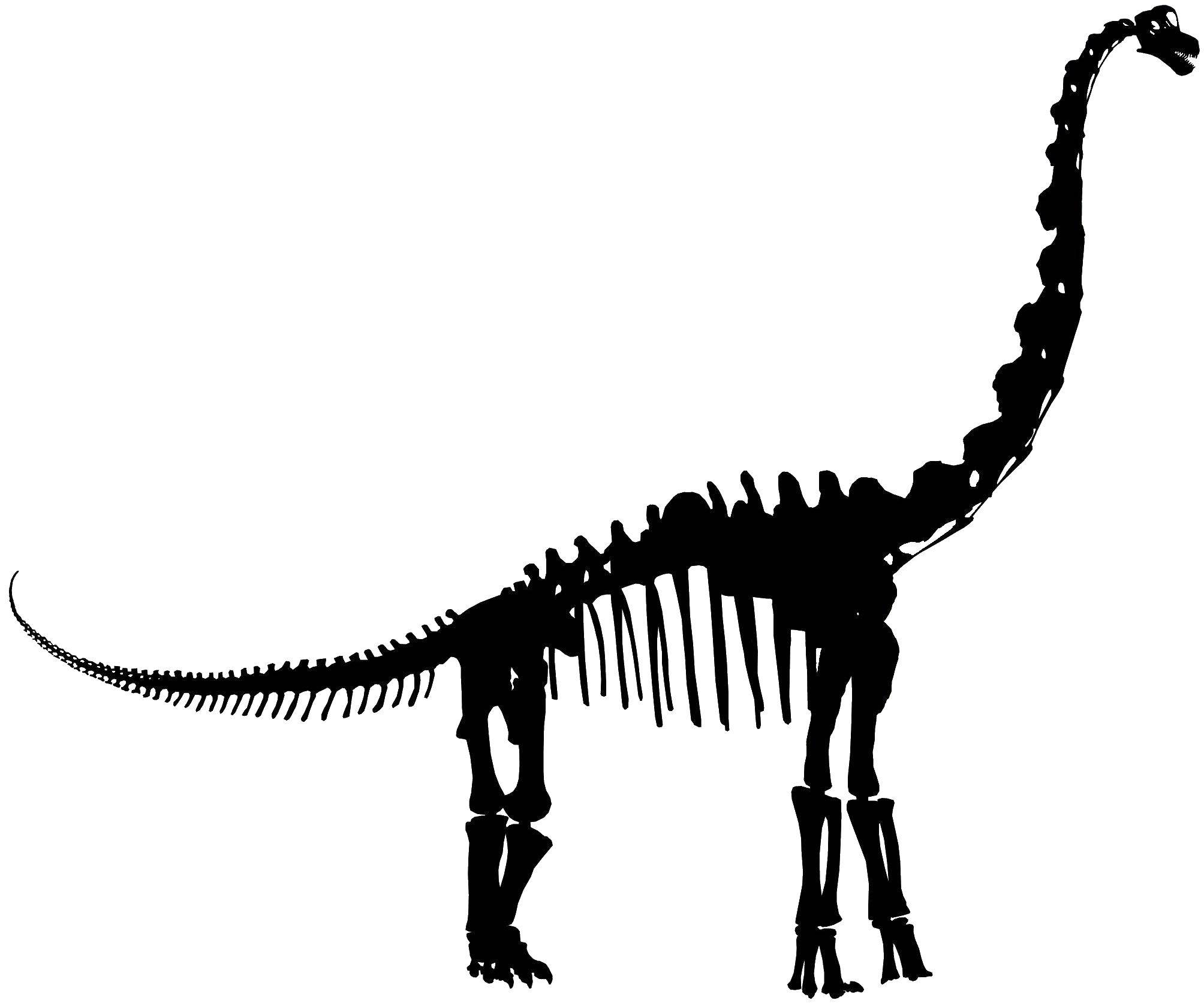 Название: Раскраска Кости динозавра. Категория: динозавр. Теги: кости, динозавры.
