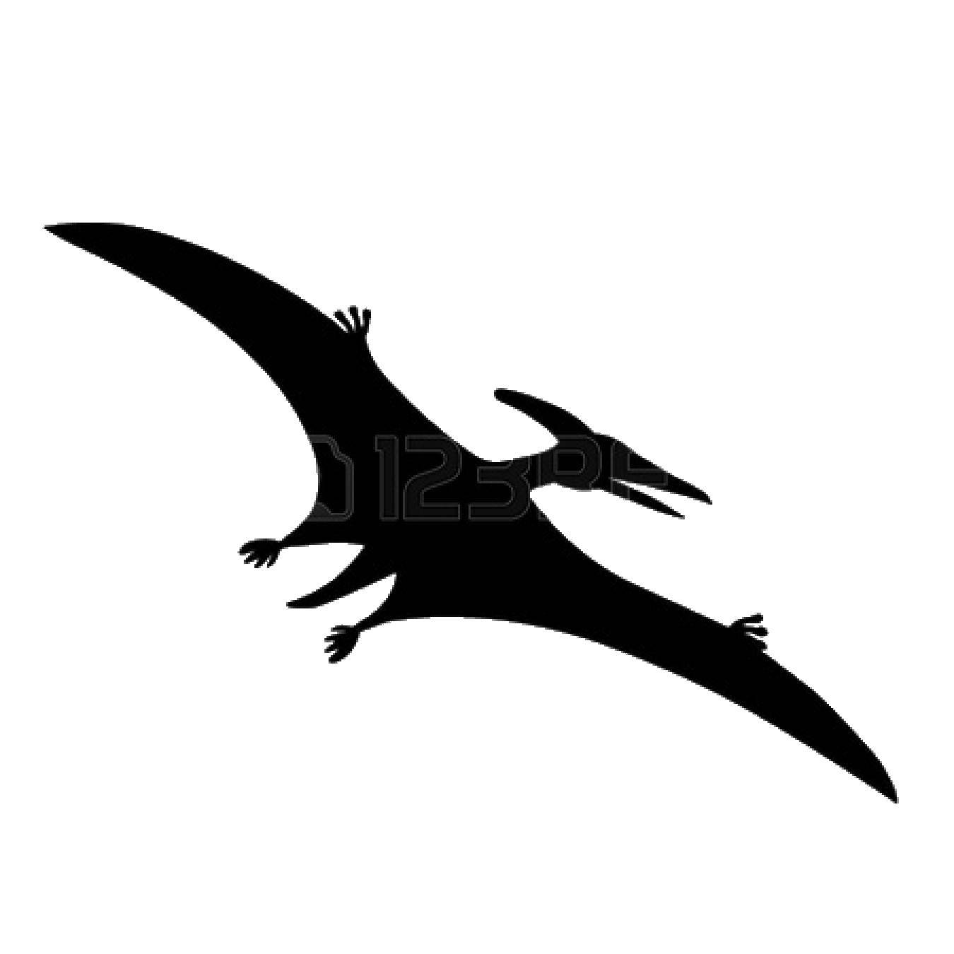 Coloring Pteranodon. Category dinosaur. Tags:  Pteranodon, dinosaur.