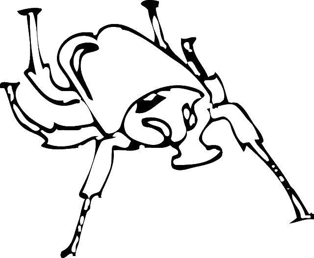 Название: Раскраска Жук. Категория: насекомые. Теги: жук.