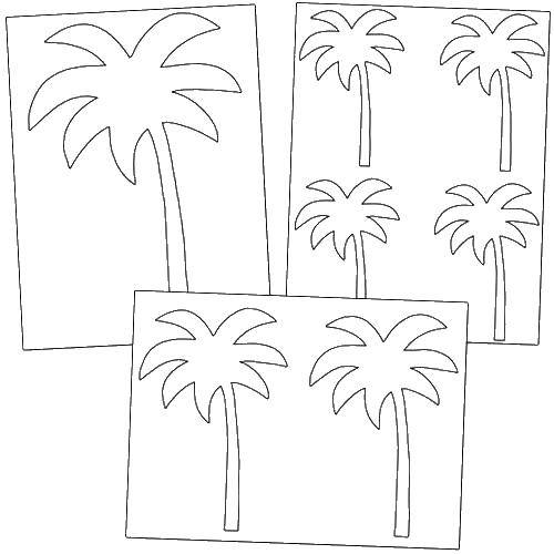 Название: Раскраска Пальма. Категория: Контур дерева. Теги: пальма.