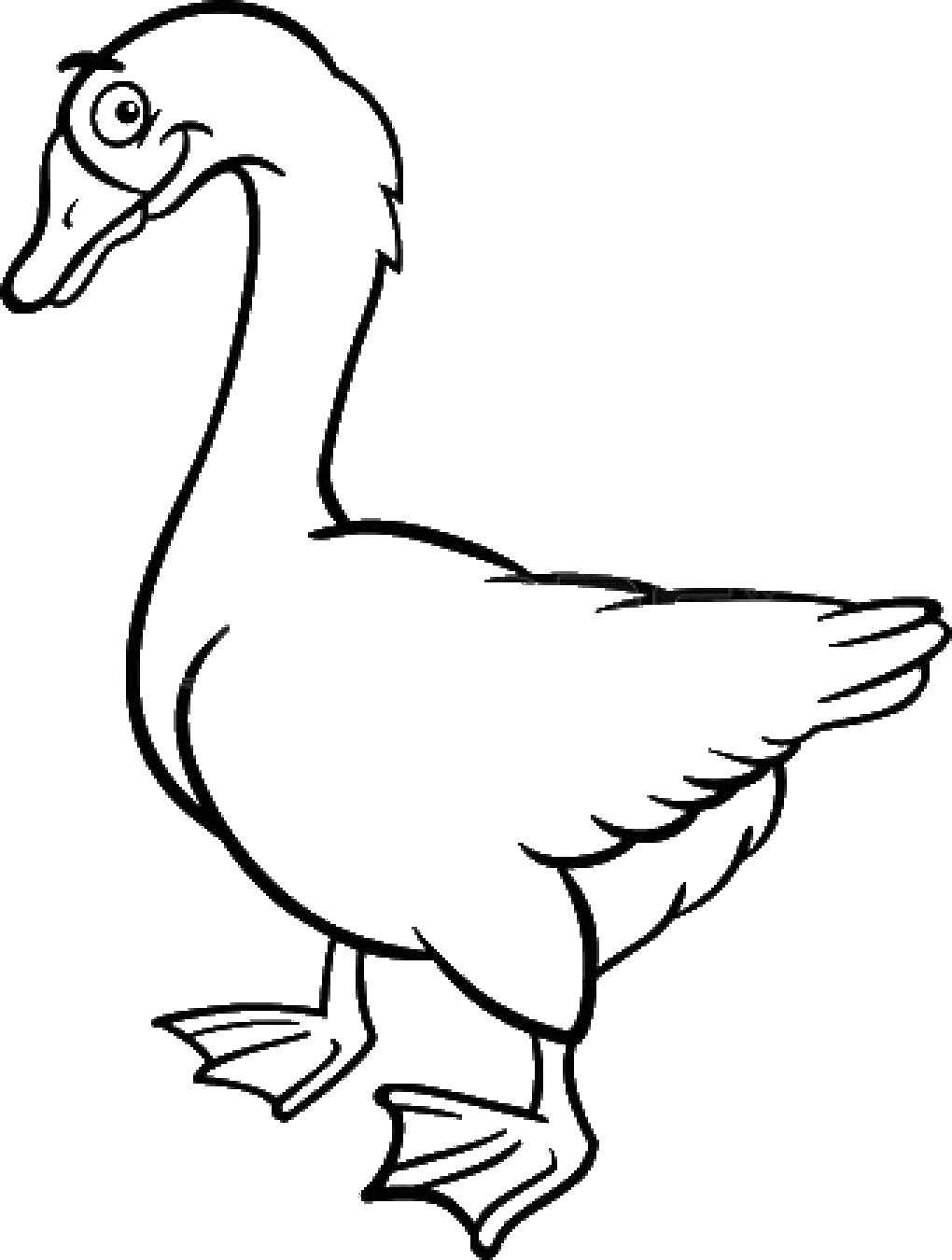 Название: Раскраска Грациозный лебедь. Категория: Контуры для вырезания птиц. Теги: лебедь, птица.