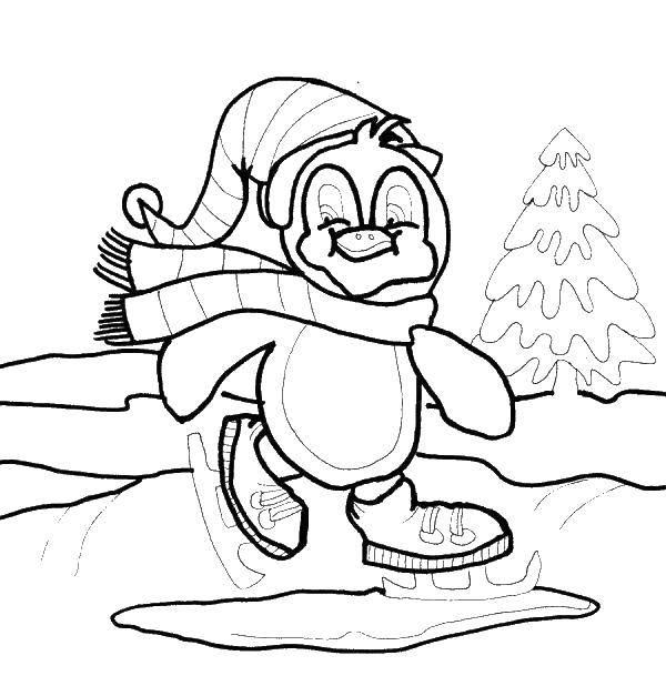Coloring Penguin on skates. Category coloring winter. Tags:  penguin, skates.