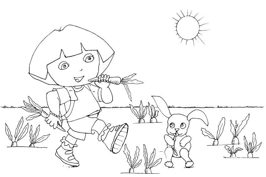 Coloring Dora eats a carrot. Category cartoons. Tags:  Dora, carrots, rabbit.