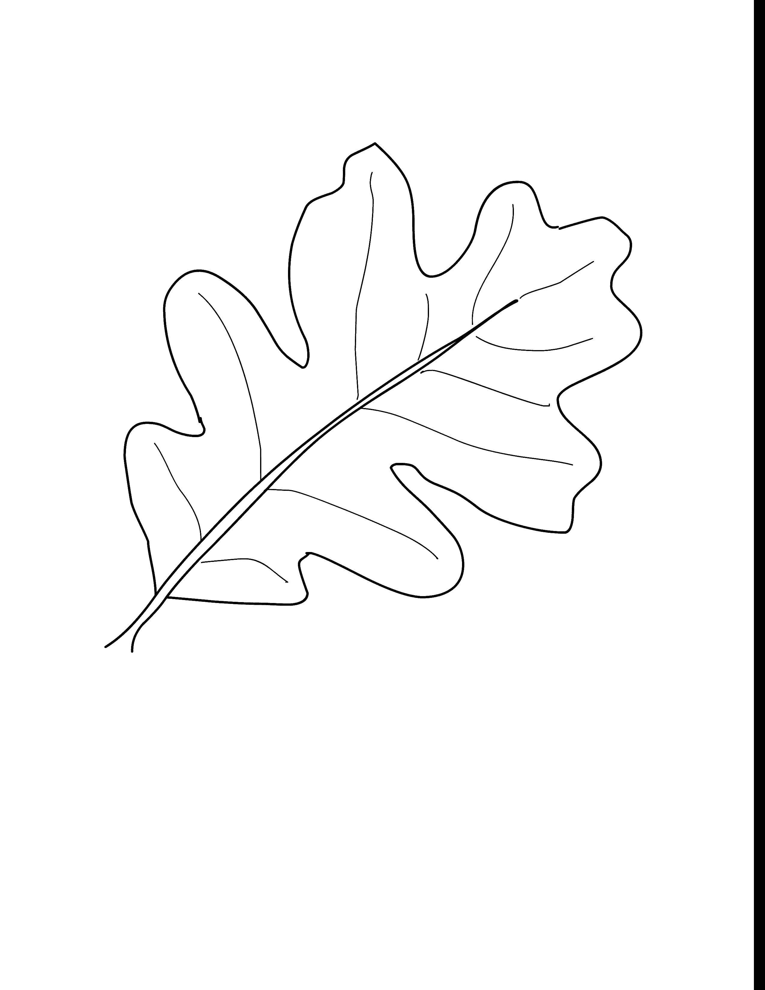 Название: Раскраска Дубовый лист контур. Категория: Осень. Теги: лист.