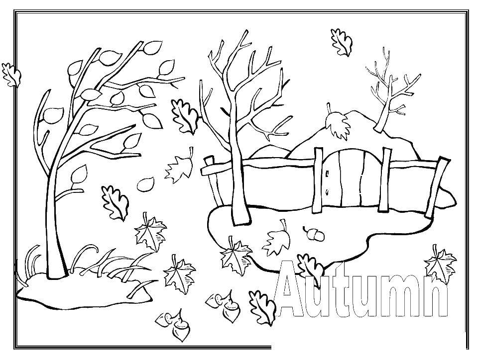 Осенние листья — раскраска для детей. Распечатать бесплатно.
