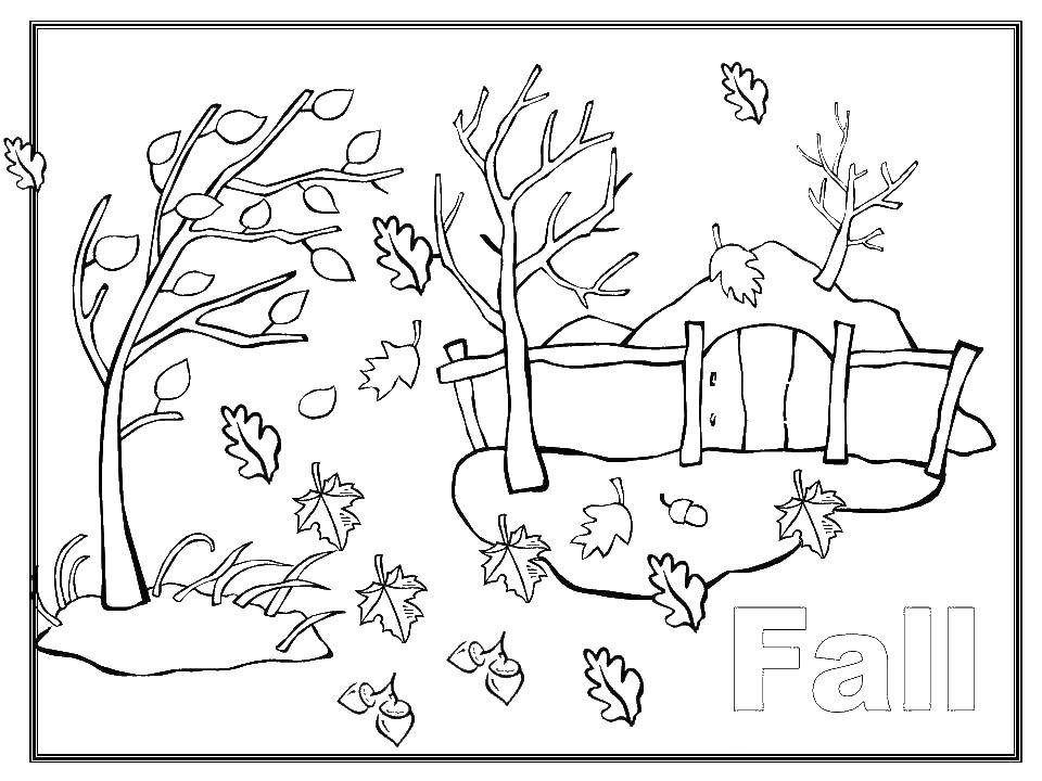Название: Раскраска Осенний листопад. Категория: Осень. Теги: осень, листопад.
