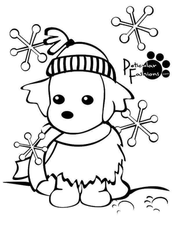 Coloring Dog in the hat. Category coloring winter. Tags:  dog, hat, snow.