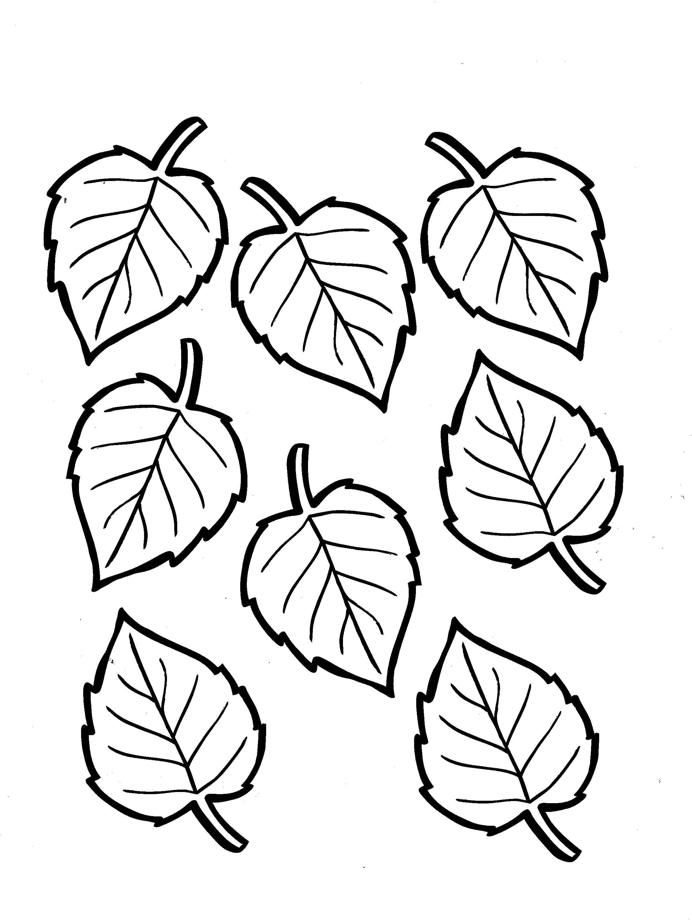 Раскраска Листья Скачать ,листья,.  Распечатать 