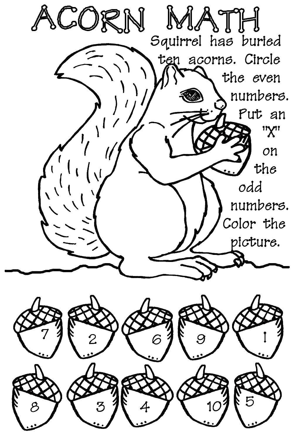 Название: Раскраска Английская задачка про белку и четные и нечетные числа. Категория: Английский. Теги: белка.
