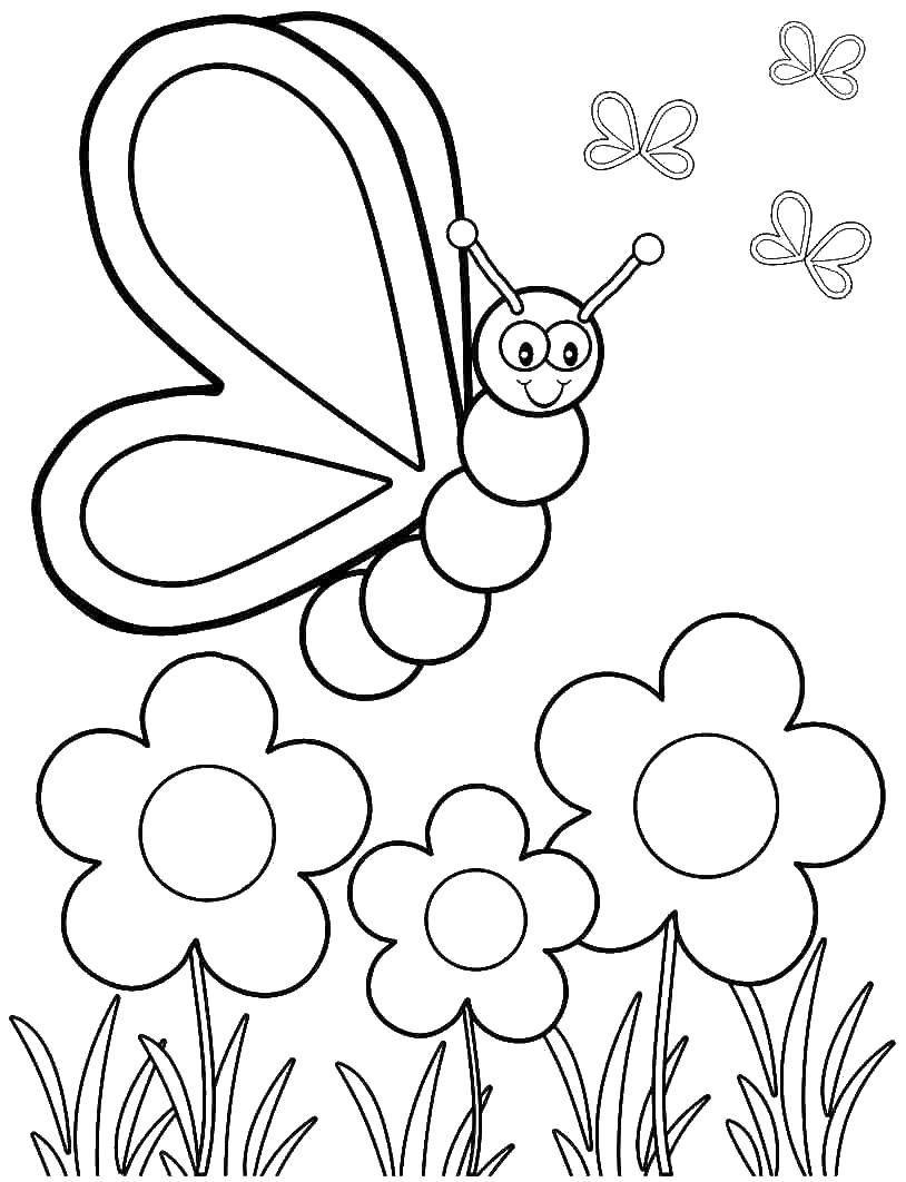 Название: Раскраска Бабочка летает над цветами. Категория: Весна. Теги: бабочка.