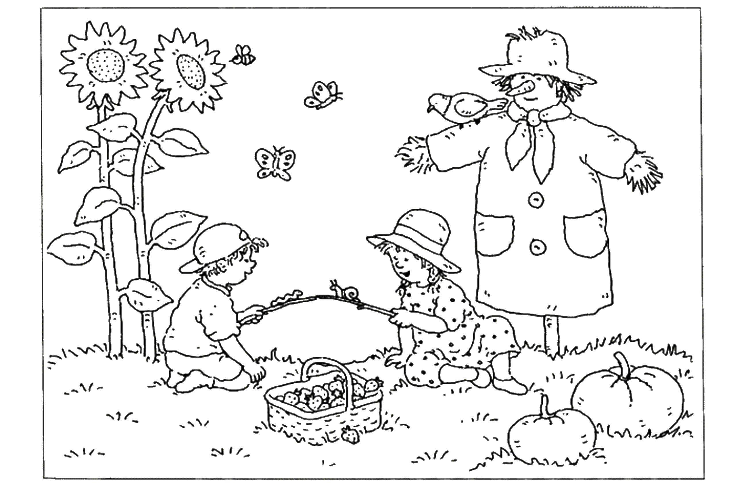 Название: Раскраска Дети собирают урожай. огородное пугало. Категория: Осень. Теги: пугало, дети, тыквы, урожай.