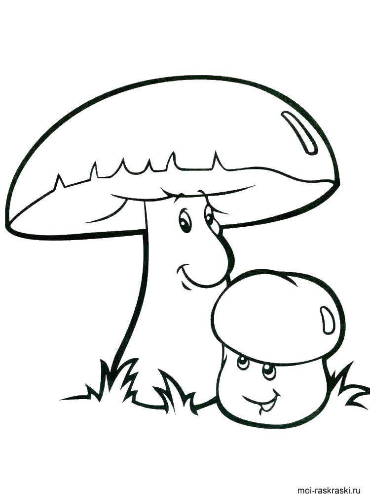 Coloring Mushrooms. Category The plant. Tags:  mushrooms.
