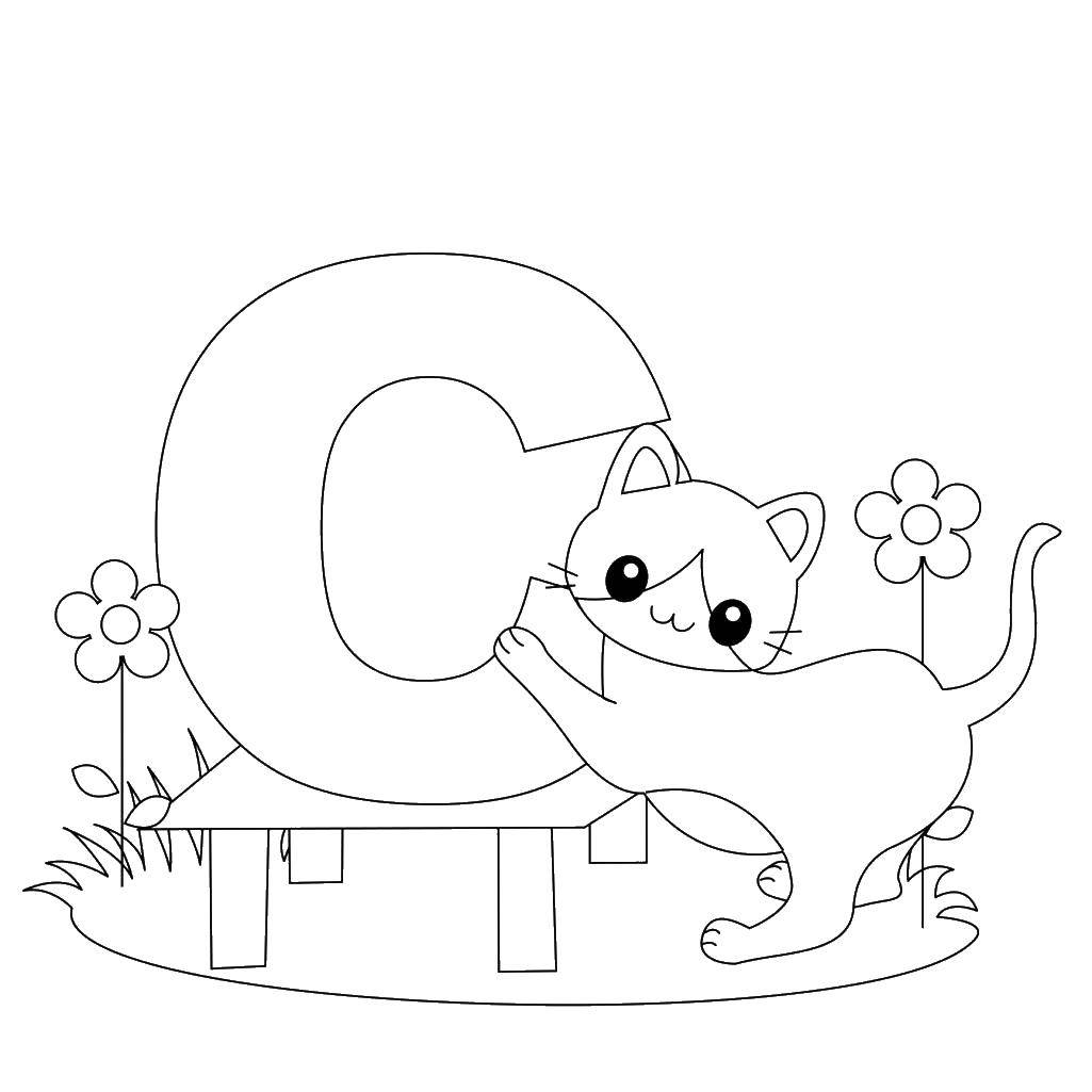 Coloring Cat letter C. Category English alphabet. Tags:  cat, English letters.