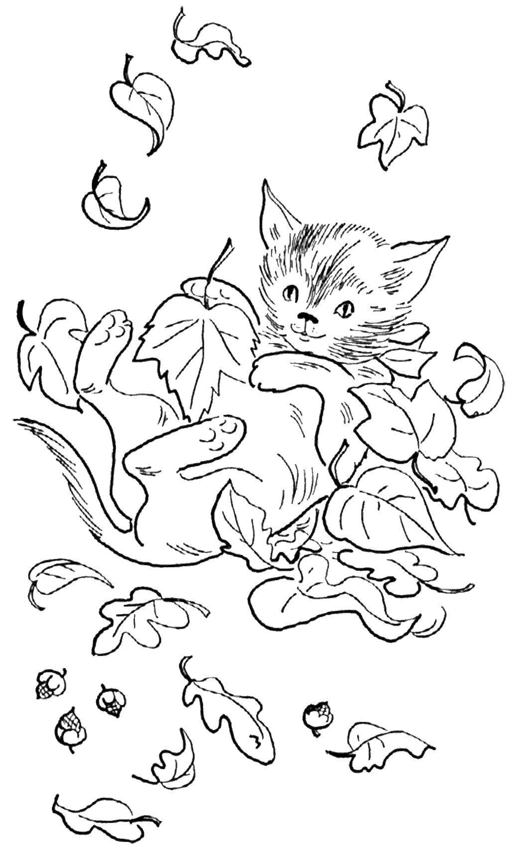 Название: Раскраска Кот играет в листве. Категория: Осень. Теги: кот, листья.