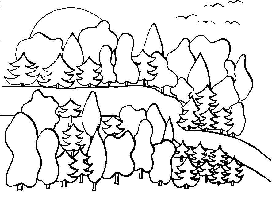 Название: Раскраска Лес. Категория: лес. Теги: лес.
