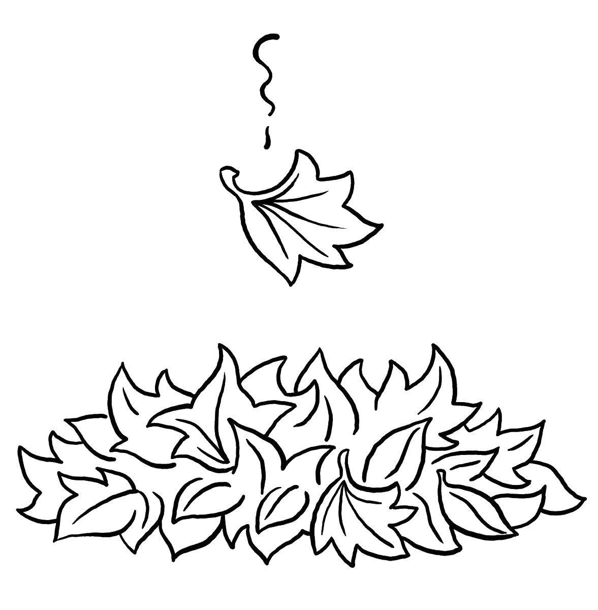 Coloring Falling leaves. Category Autumn. Tags:  Listopad.