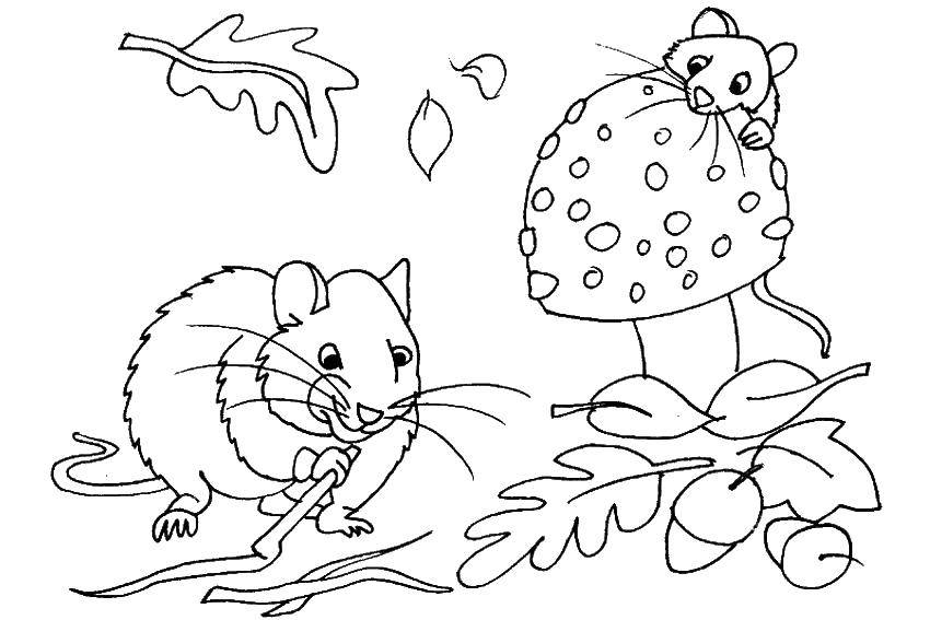 Название: Раскраска Мышки пируют. Категория: Осень. Теги: мышка.