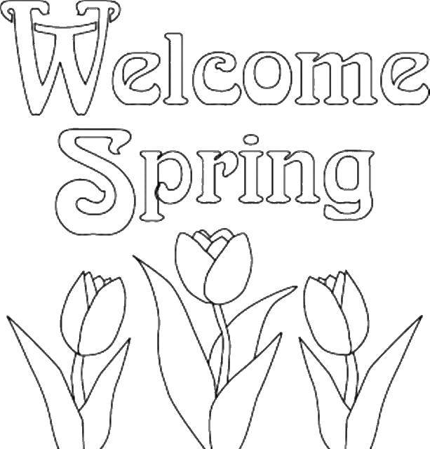 Название: Раскраска Привет весна на английском. Категория: Весна. Теги: тюльпаны.