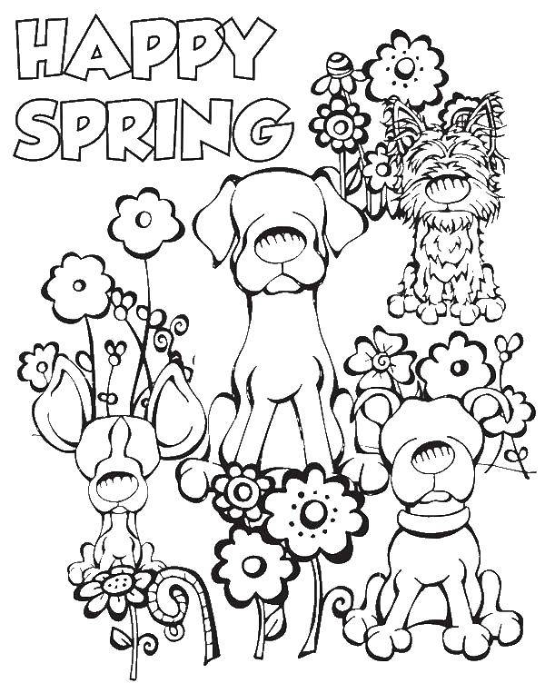 Название: Раскраска Собаки встречают весну. Категория: Весна. Теги: собака, весна.