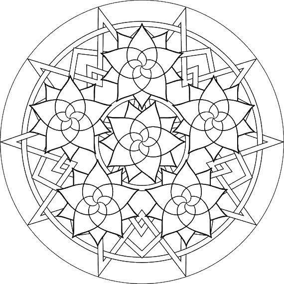 Coloring Pattern with flowers. Category patterns. Tags:  flowers.