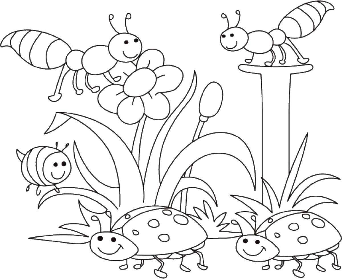 Coloring Spring insects and grass. Category Spring. Tags:  ladybug.