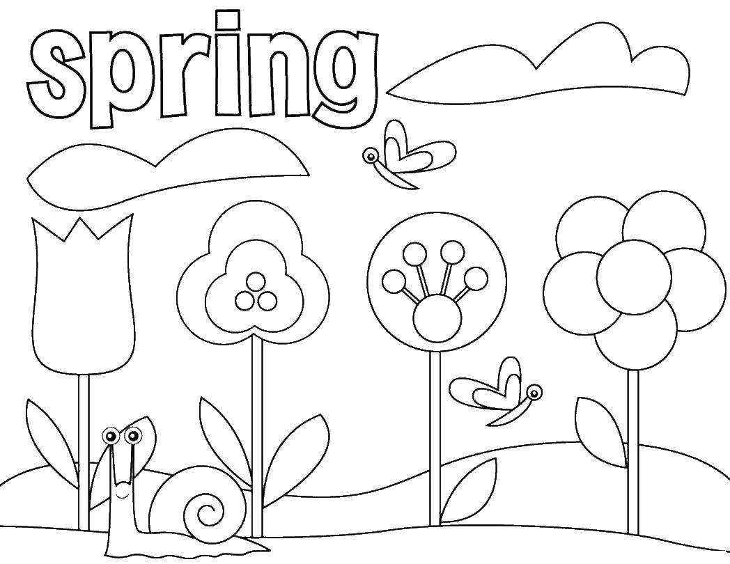 Название: Раскраска Весна цветы и бабочки. Категория: Весна. Теги: весна.
