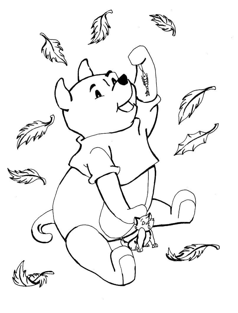 Coloring Winnie the Pooh and the falling leaves. Category Autumn. Tags:  Winnie the Pooh.