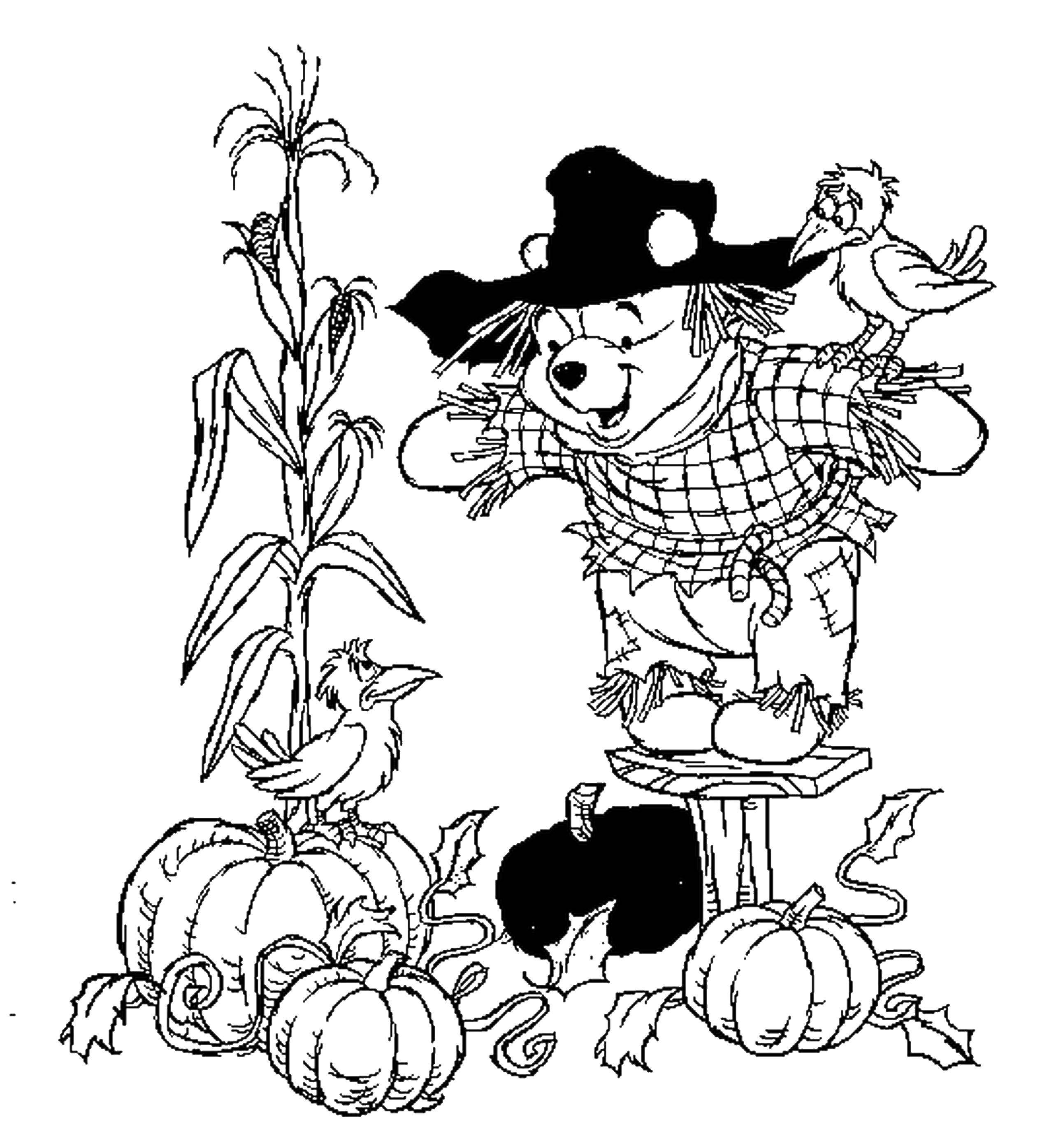Название: Раскраска Винни пух в костюме пугала охраняет огород. Категория: Осень. Теги: пугало, тыквы, винни пух.
