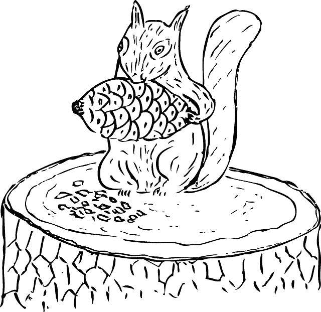 Coloring Squirrel with cone. Category wild animals. Tags:  Animals, Behemoth.