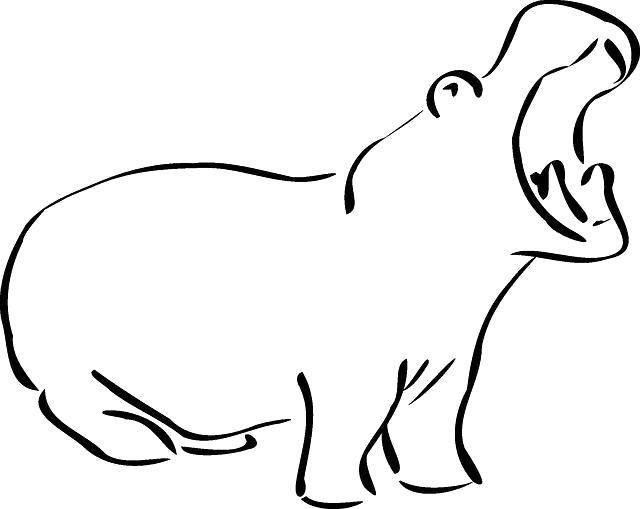 Coloring Outline Hippo. Category The contours of animals. Tags:  Animals, Behemoth.