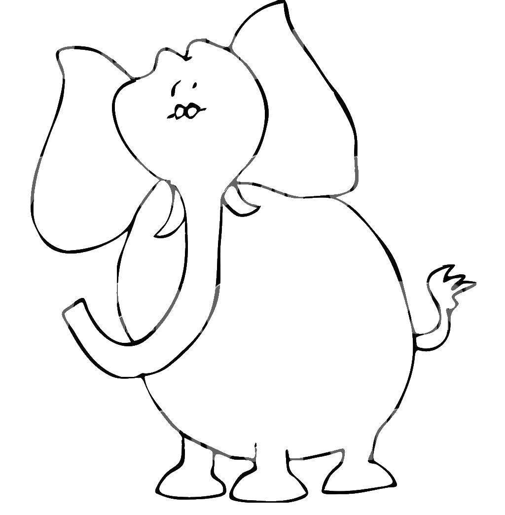Название: Раскраска Слонёнок. Категория: Раскраски для малышей. Теги: Животные, слоненок.