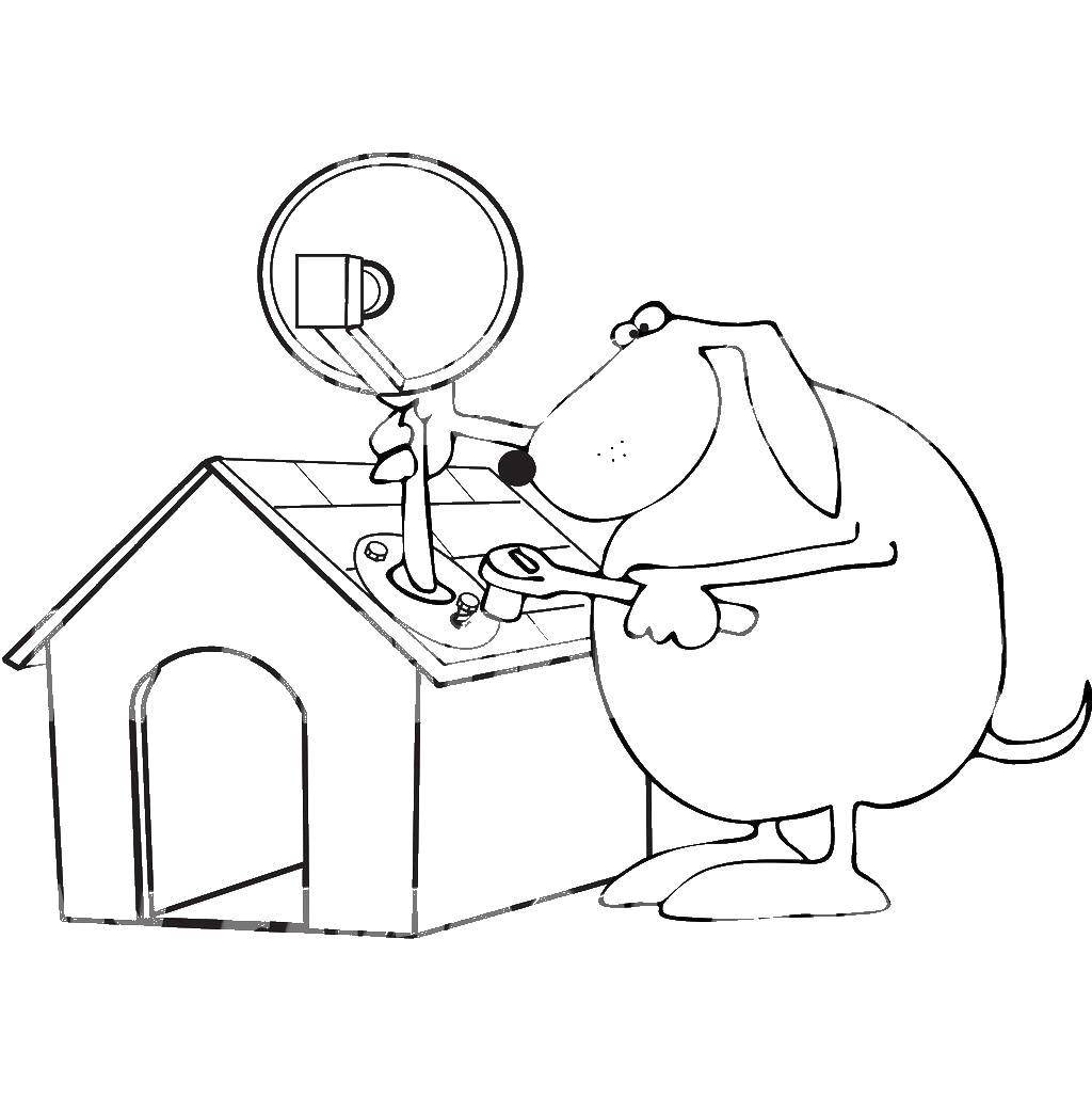 Coloring The dog fixes his booth. Category Animals. Tags:  Animals, dog.